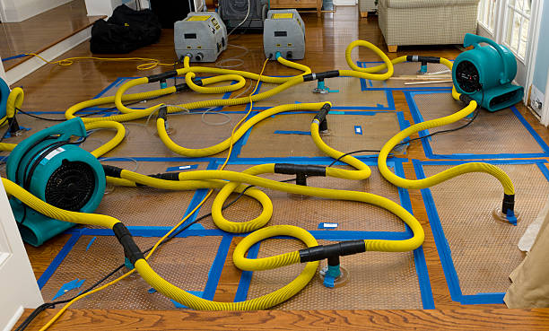 Professional Sewage Cleanup technician working in Carlton, MN